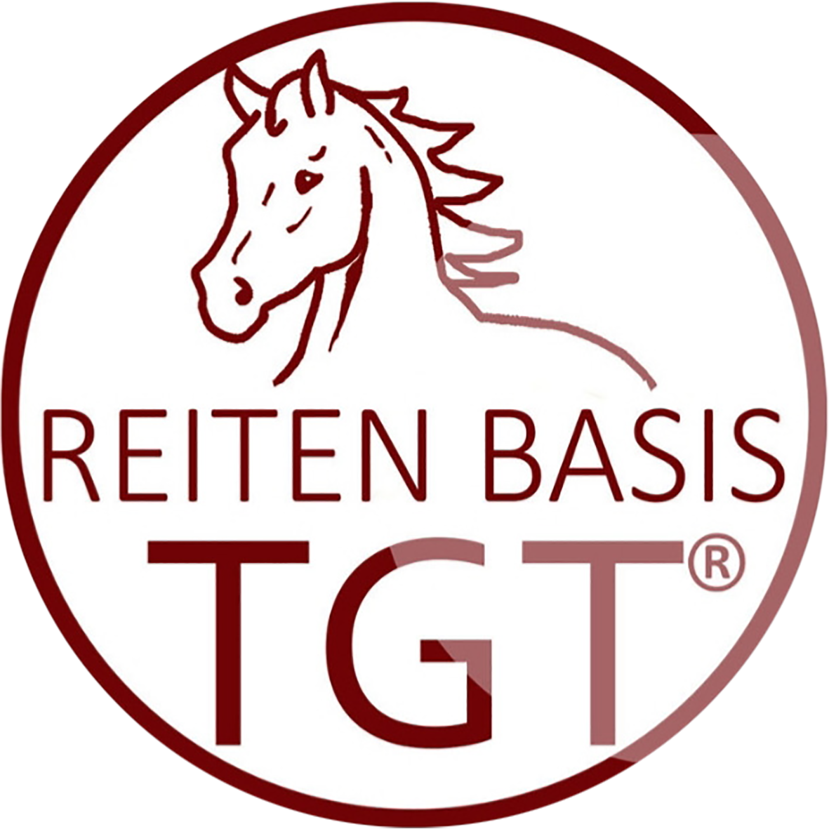 TGT Reiten Basis